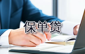 北海保单贷